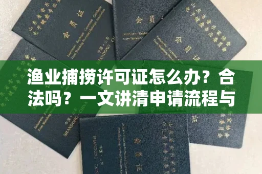 全国渔业捕捞许可证怎么办?合法吗?一文讲清申请流程与合规要点