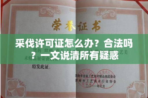 全国采伐许可证怎么办?合法吗?一文说清所有疑惑